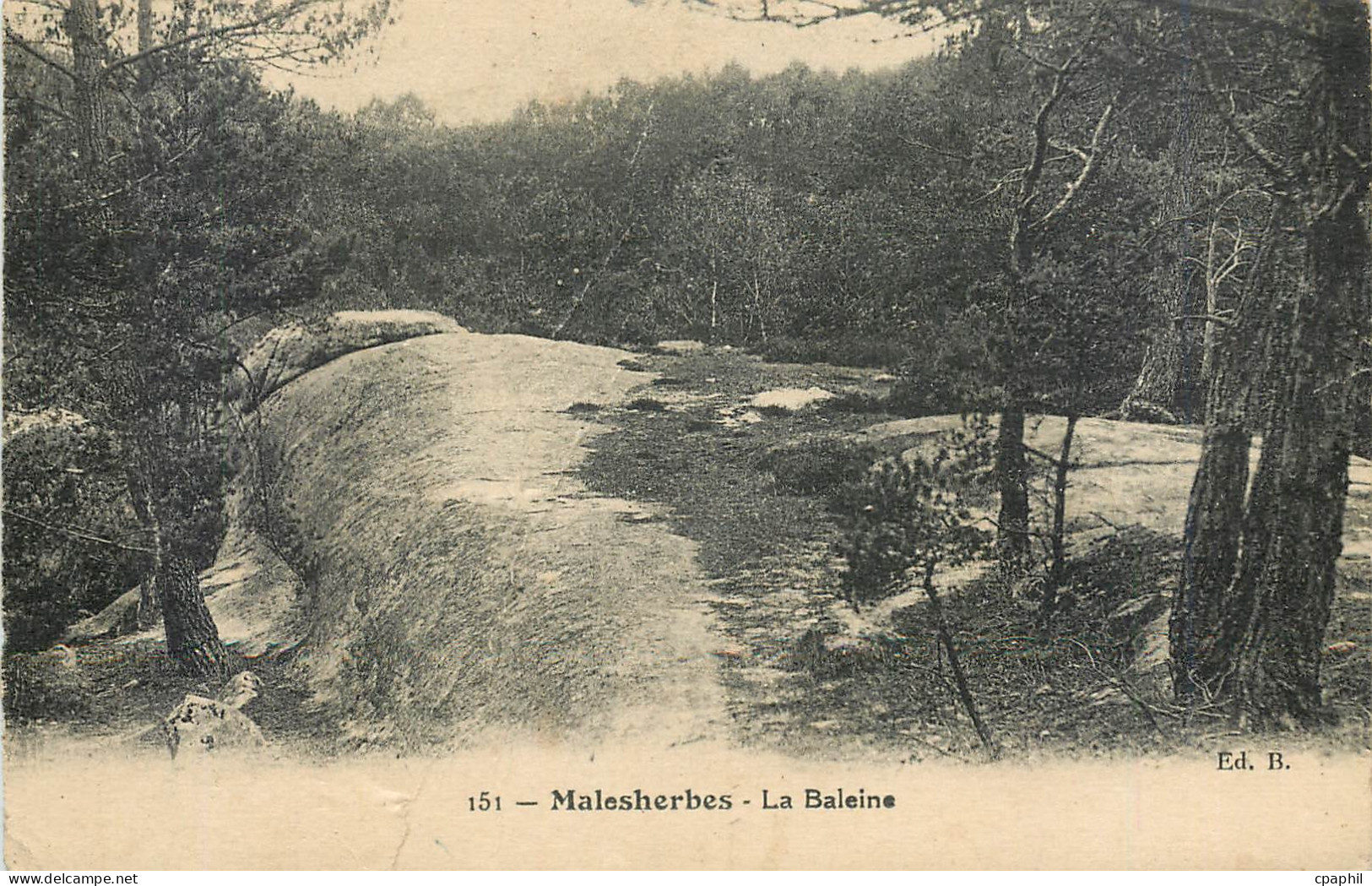 CPA Malesherbes La Baleine