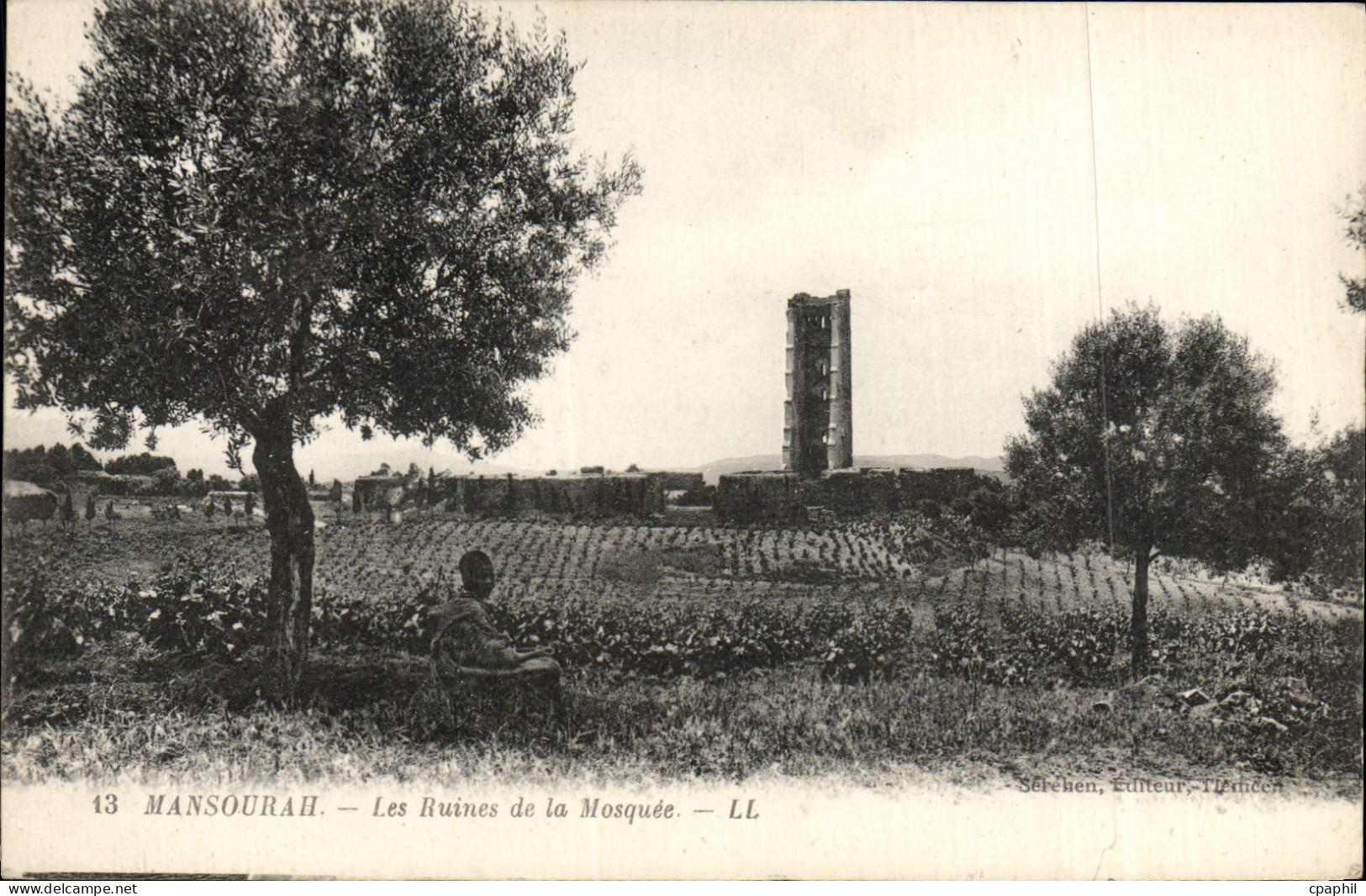 CPA Mansourah Les Ruines de la Mosquee
