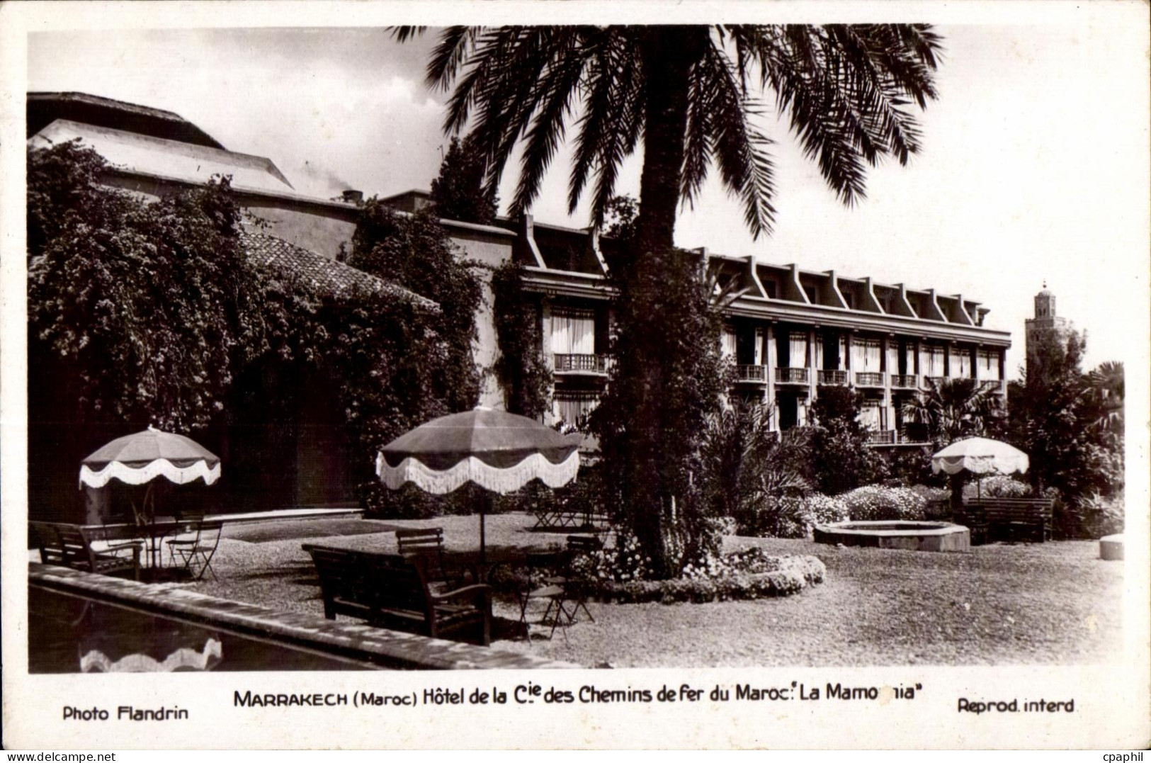 CPA Maroc Marrakech Maroc Hotel de la Cie des Chemins de fer du Maroc La Mamounia