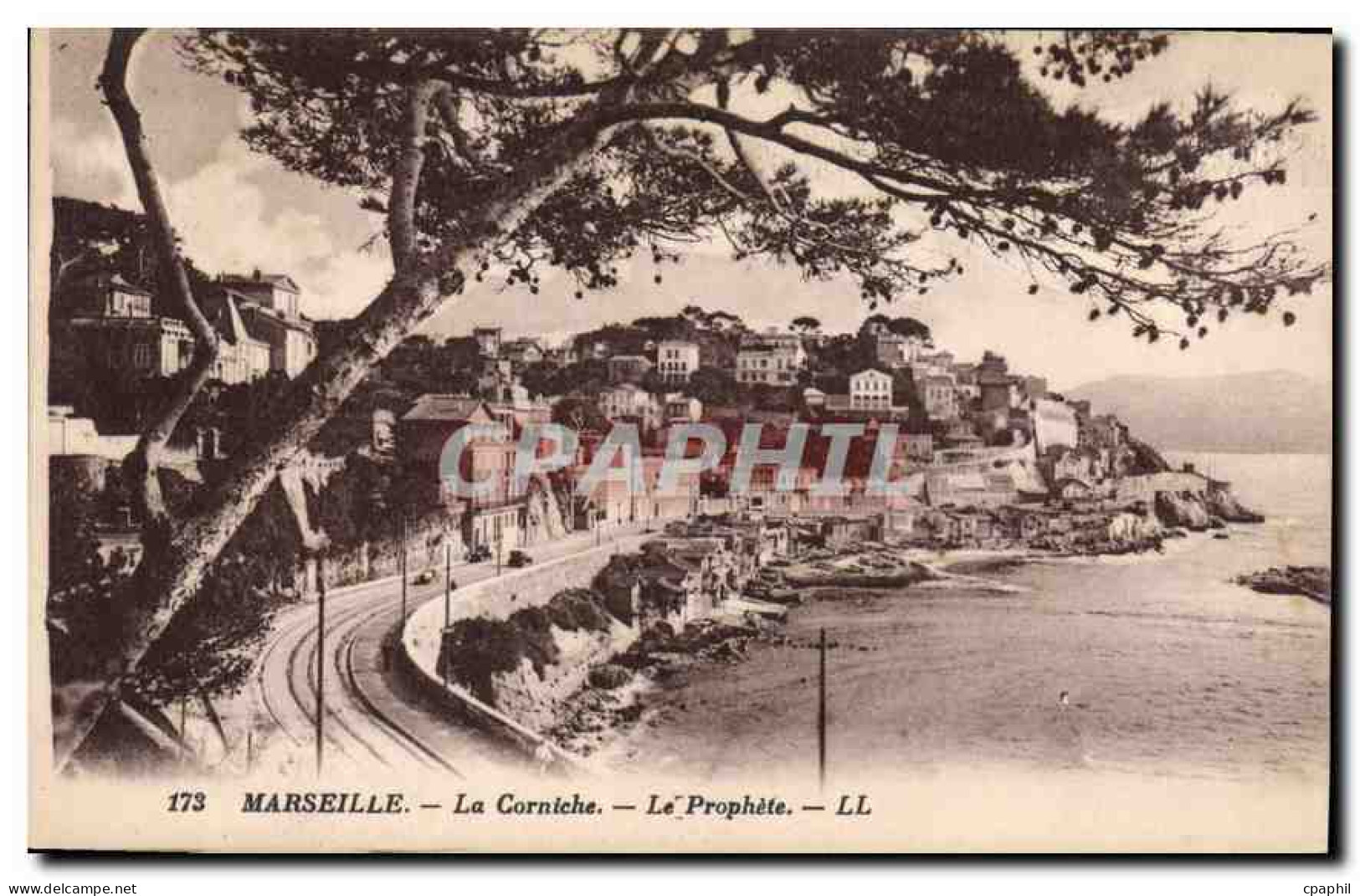 CPA Marseille La Corniche Le Prophete
