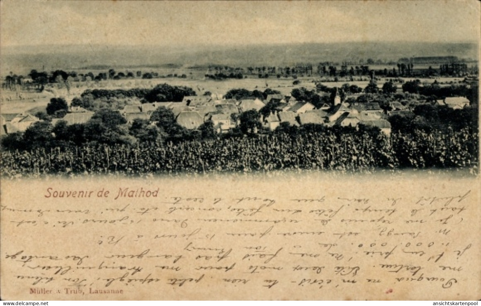 CPA Mathod Kanton Waadt, Panorama