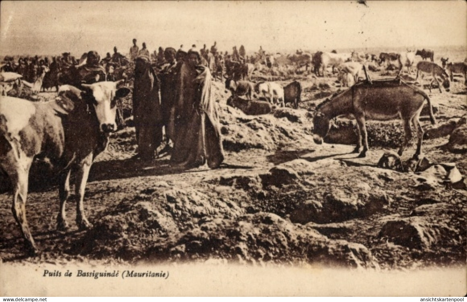 CPA Mauretanien, Puits de Bassiguindé