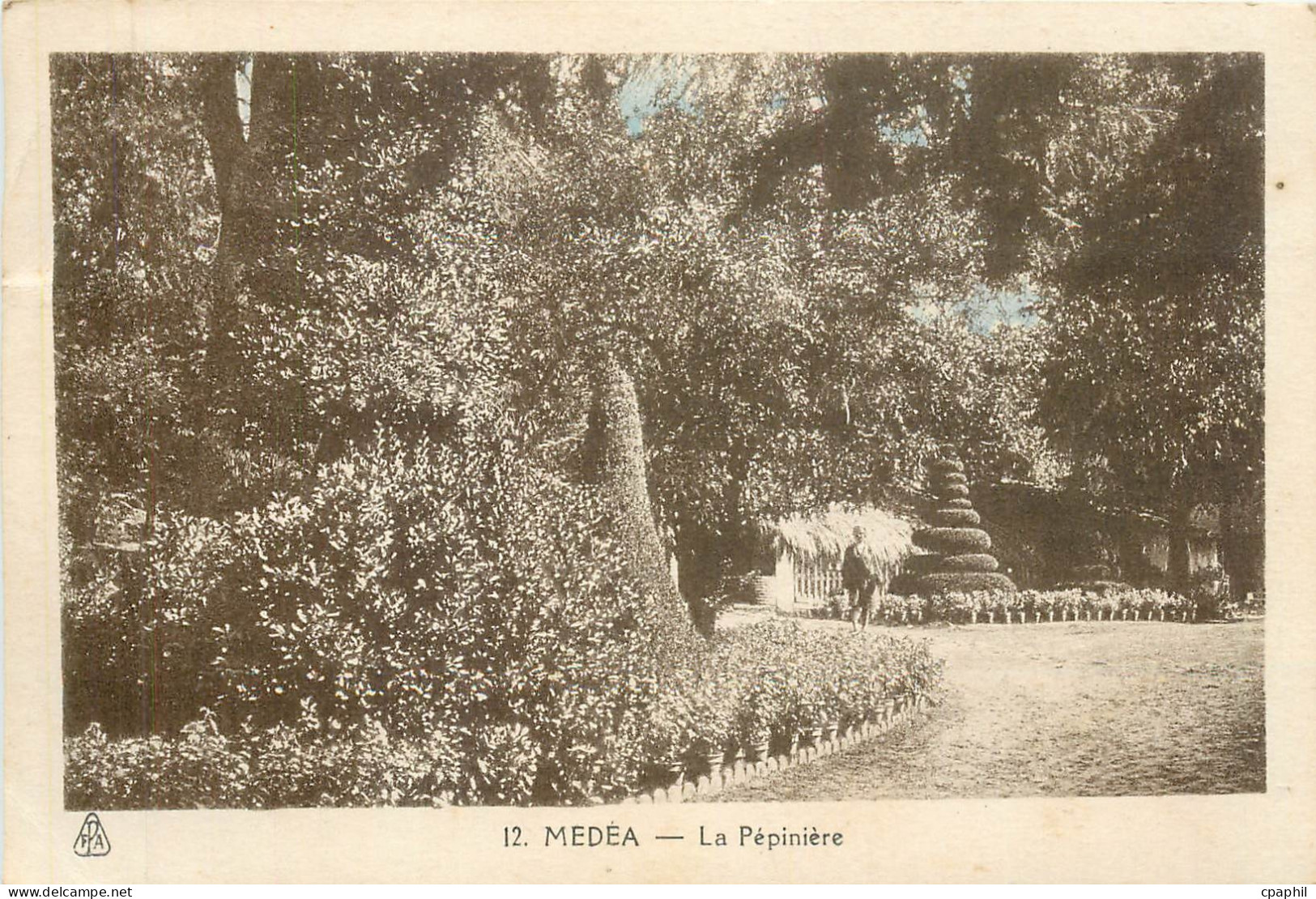 CPA MEDEA-La pepiniere