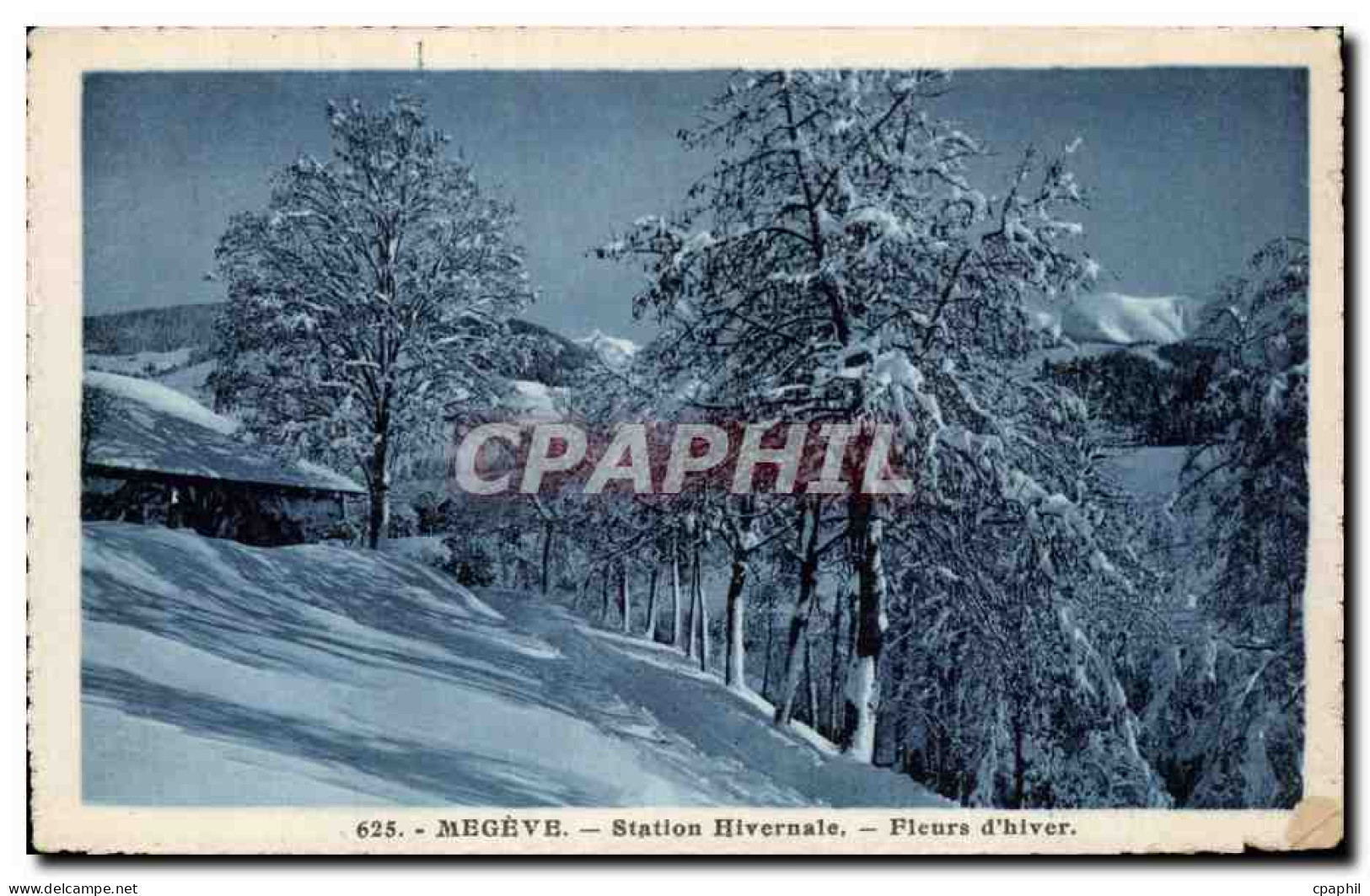 CPA Megeve Station hivernale Fleurs d hiver