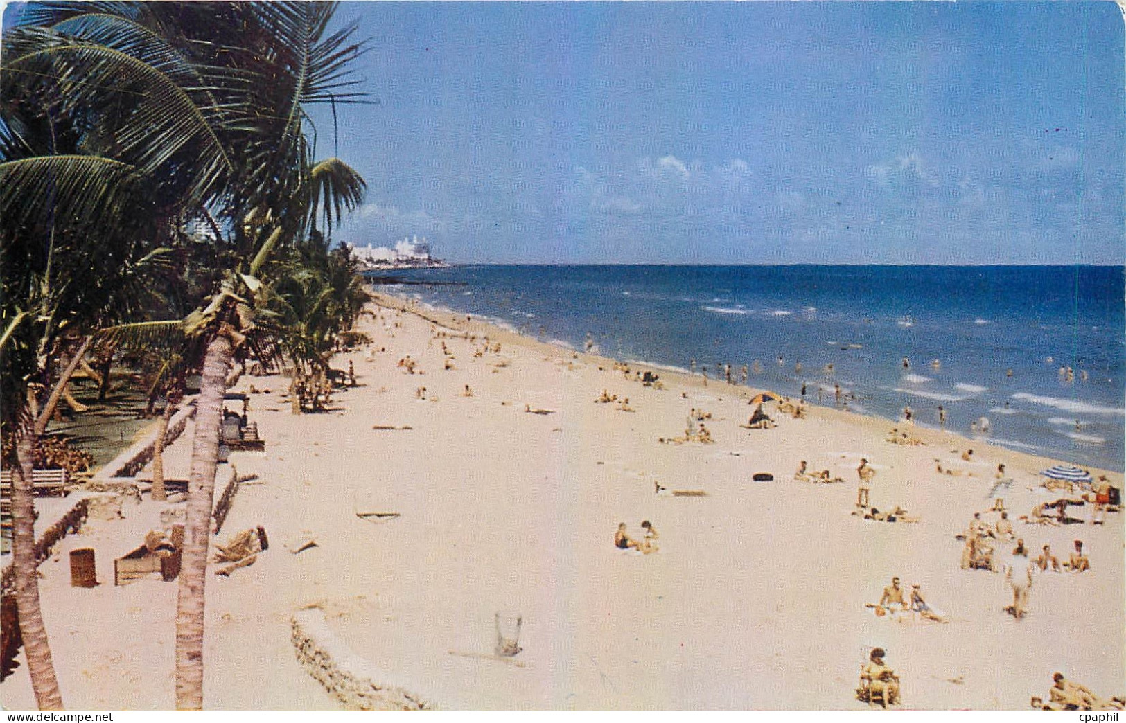 CPA Miami Beach Florida