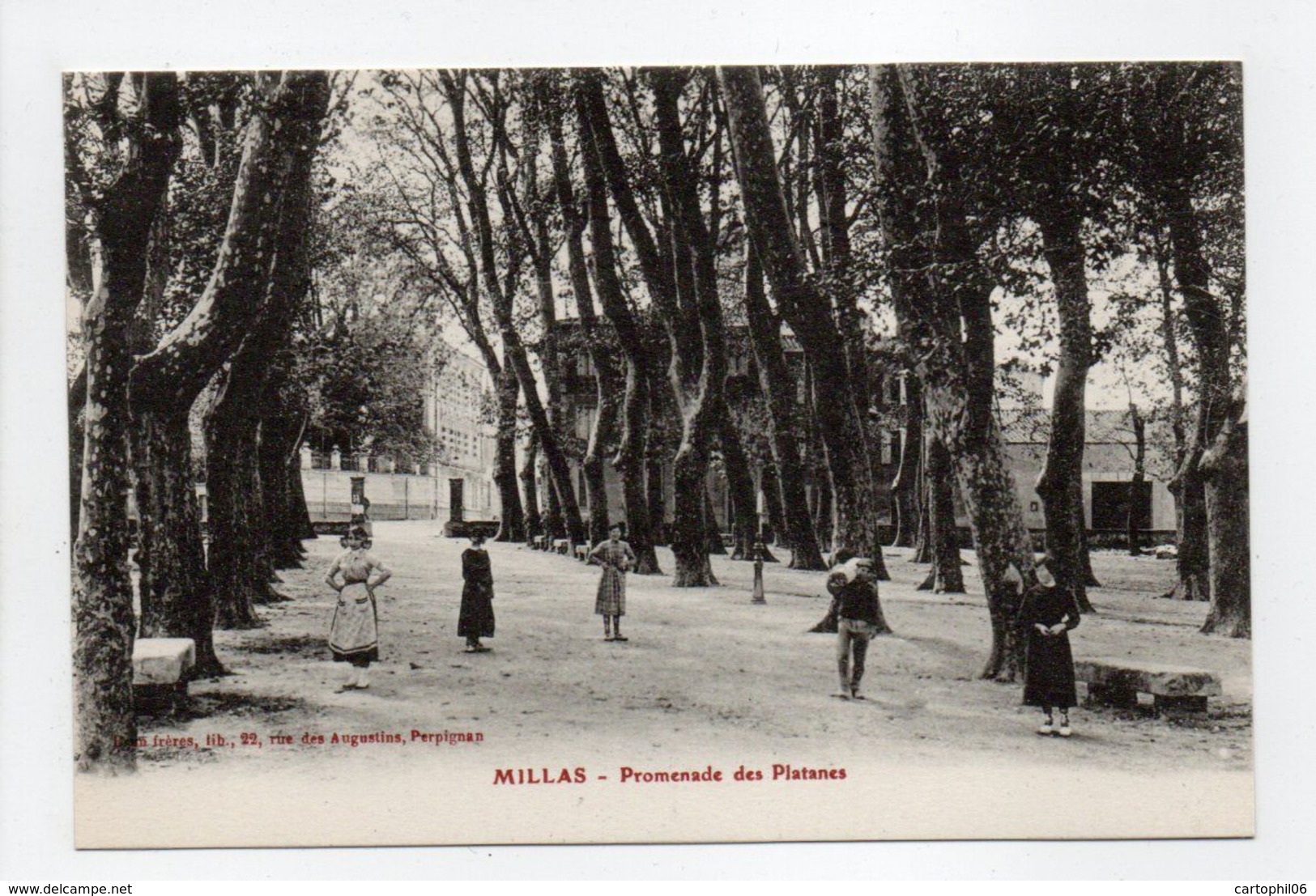 - CPA MILLAS (66) - Promenade des Platanes (avec personnages) - Edition Brun -