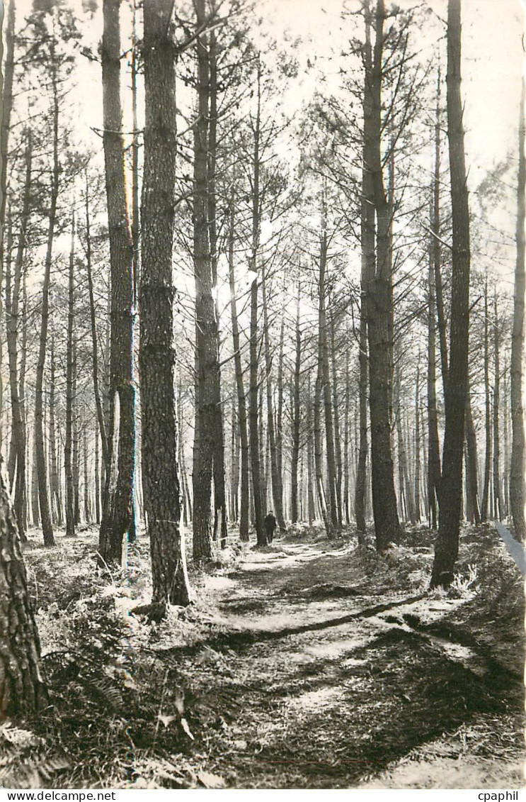 CPA Mimizan Plage Landes La foret de plus