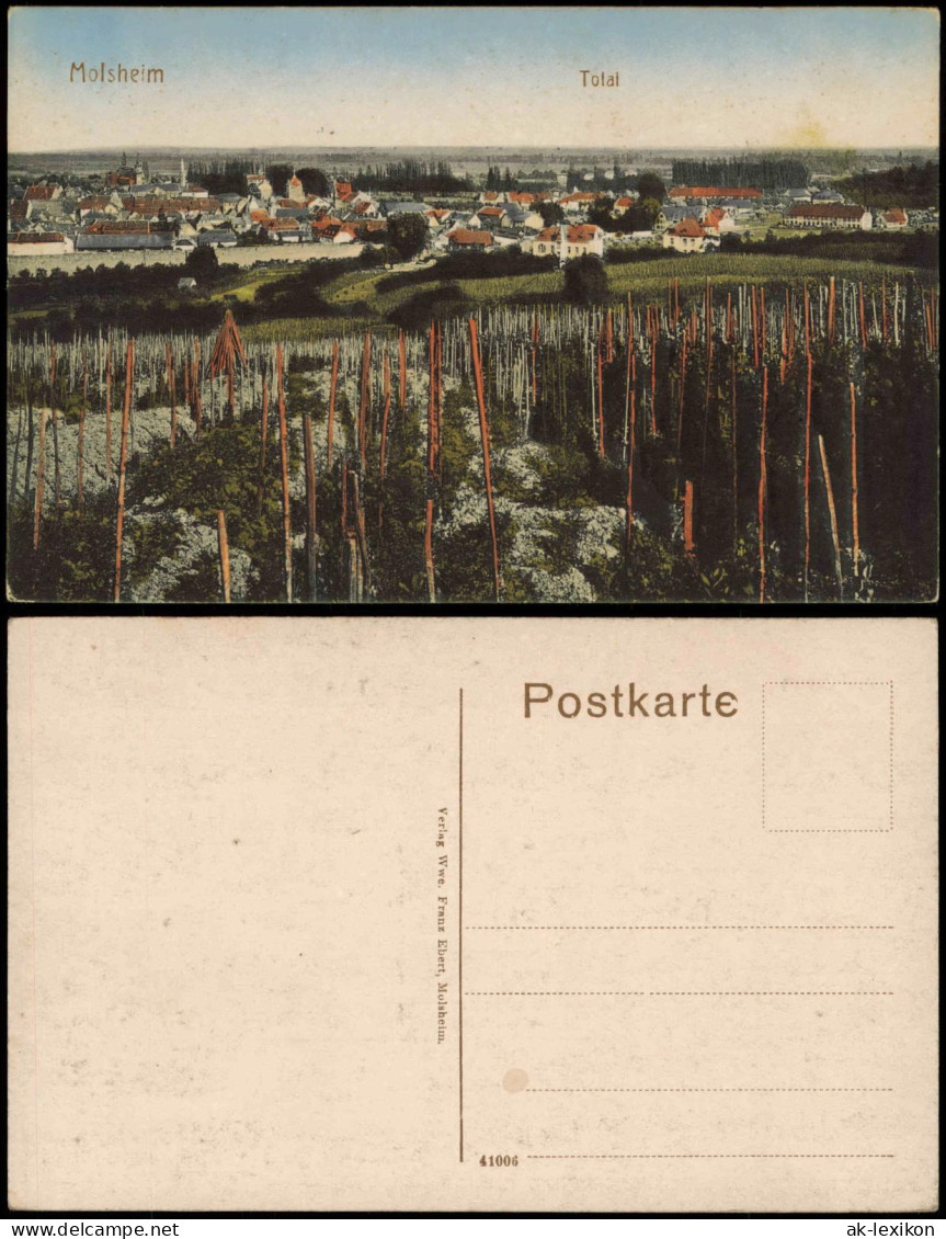 CPA Molsheim Molse Stadtpartie Reben 1910  Unterelsass