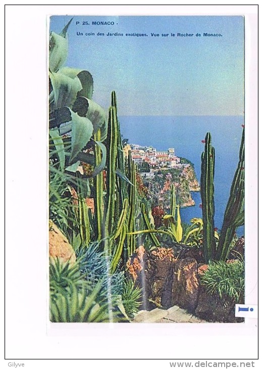 CPA - Monaco - Jardins exotiques  - (005)