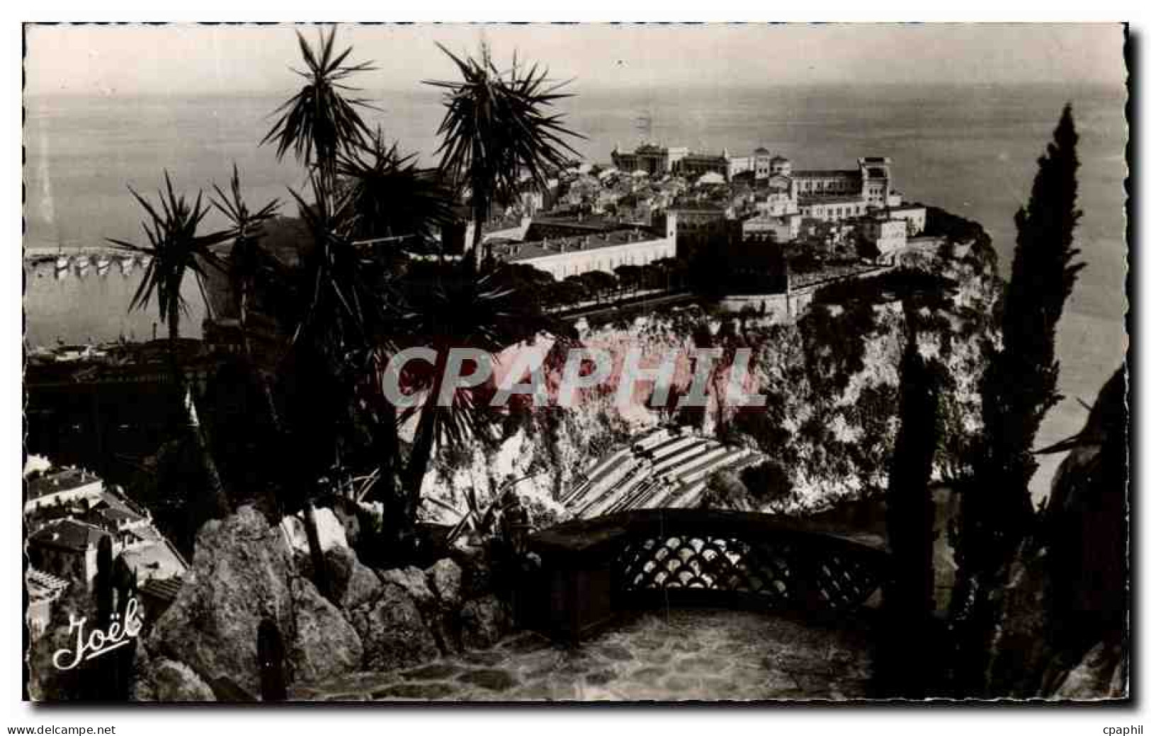 CPA Monaco Vu du jardin exotique