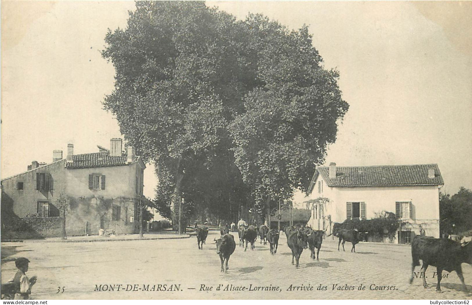 CPA Mont de Marsan 40/31