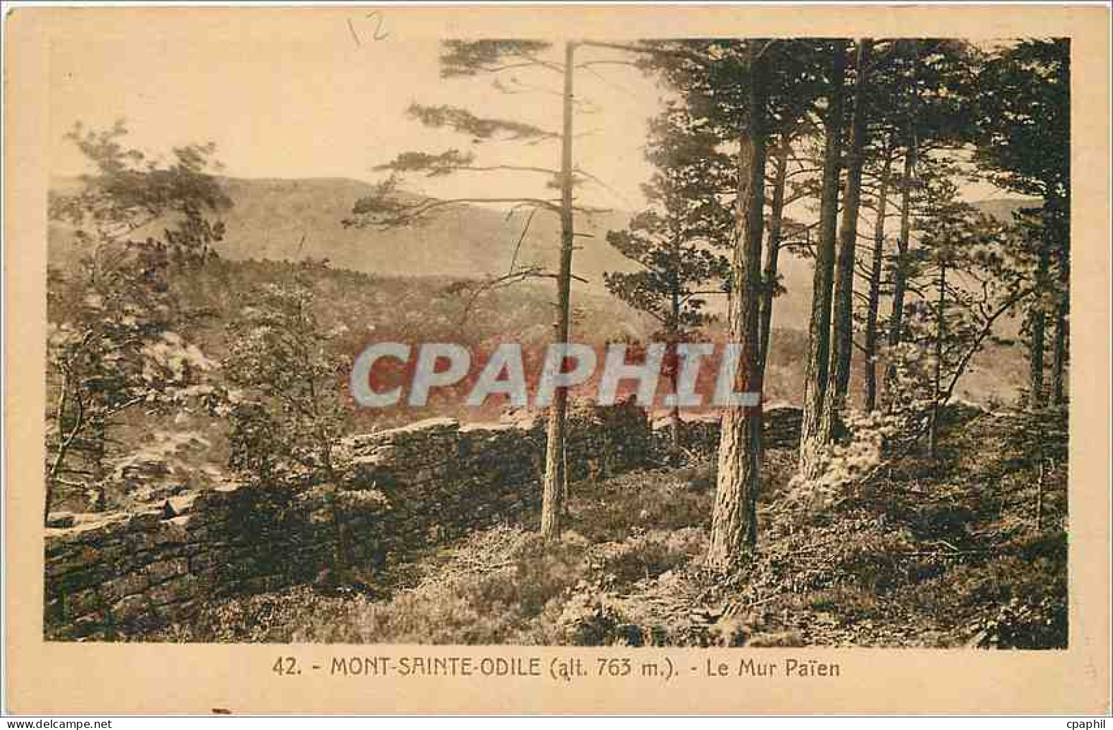 CPA Mont Sainte Odile Le Mur Paien