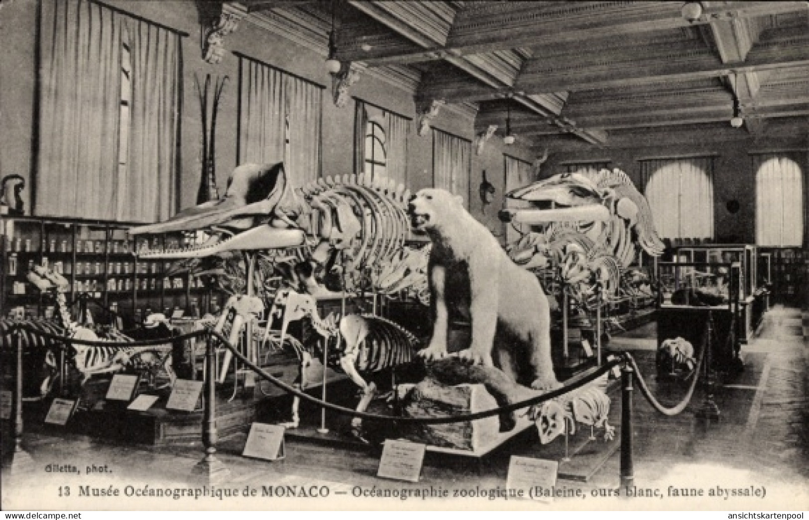 CPA Monte Carlo Monaco, Ozeanographisches Museum