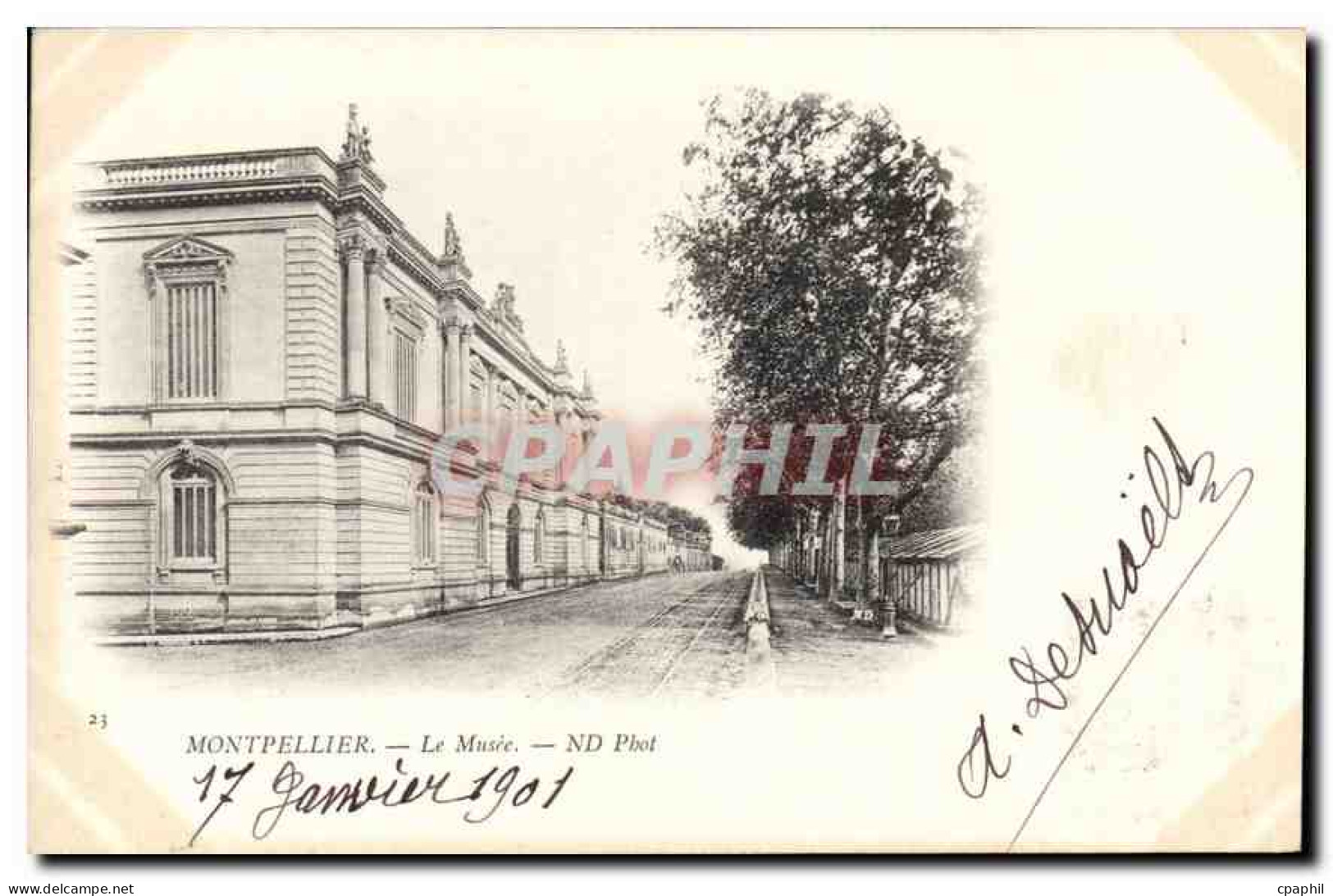 CPA Montpellier Le Musee