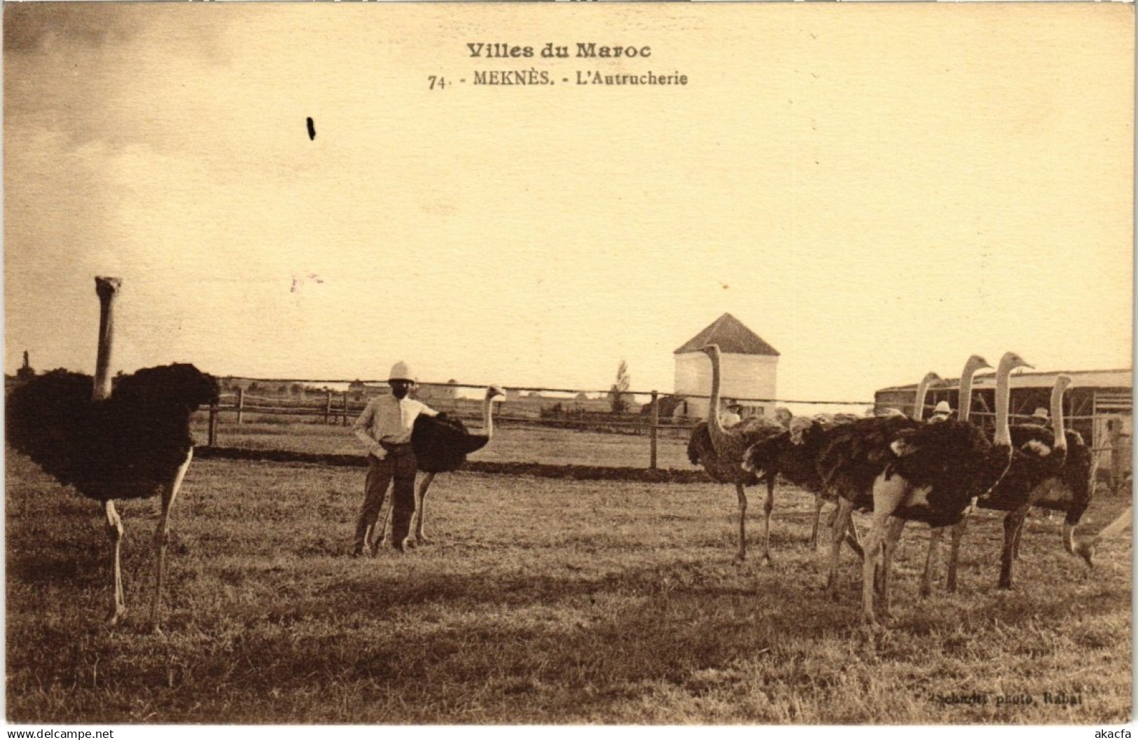 CPA MOROCCO VILLES DU MAROC (114763)