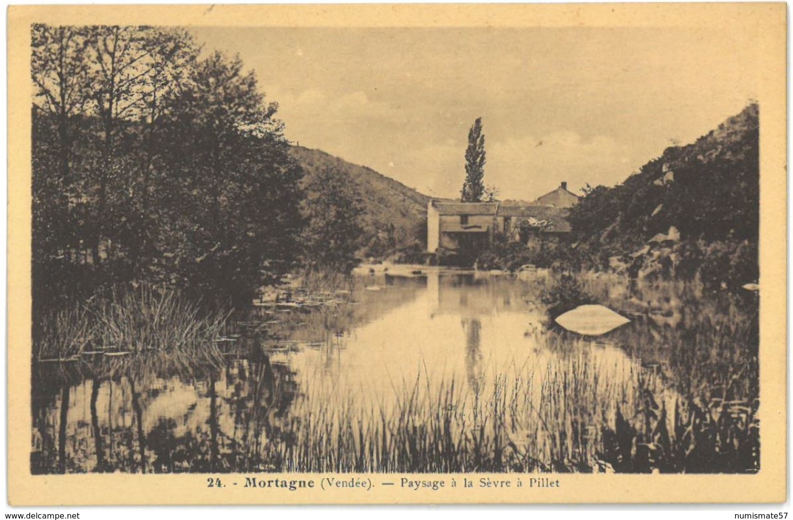 CPA MORTAGNE - Paysage à la Sèvre à Pillet - Ed. Jehly-Poupin , Mortagne sur Sèvre n°24