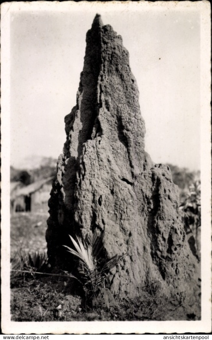 CPA Moyen Congo Französisch Kongo, Termitiere