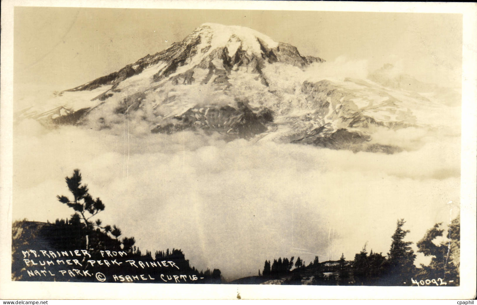 CPA Mt Rainier From Plummer Peak Rainier Natl Park