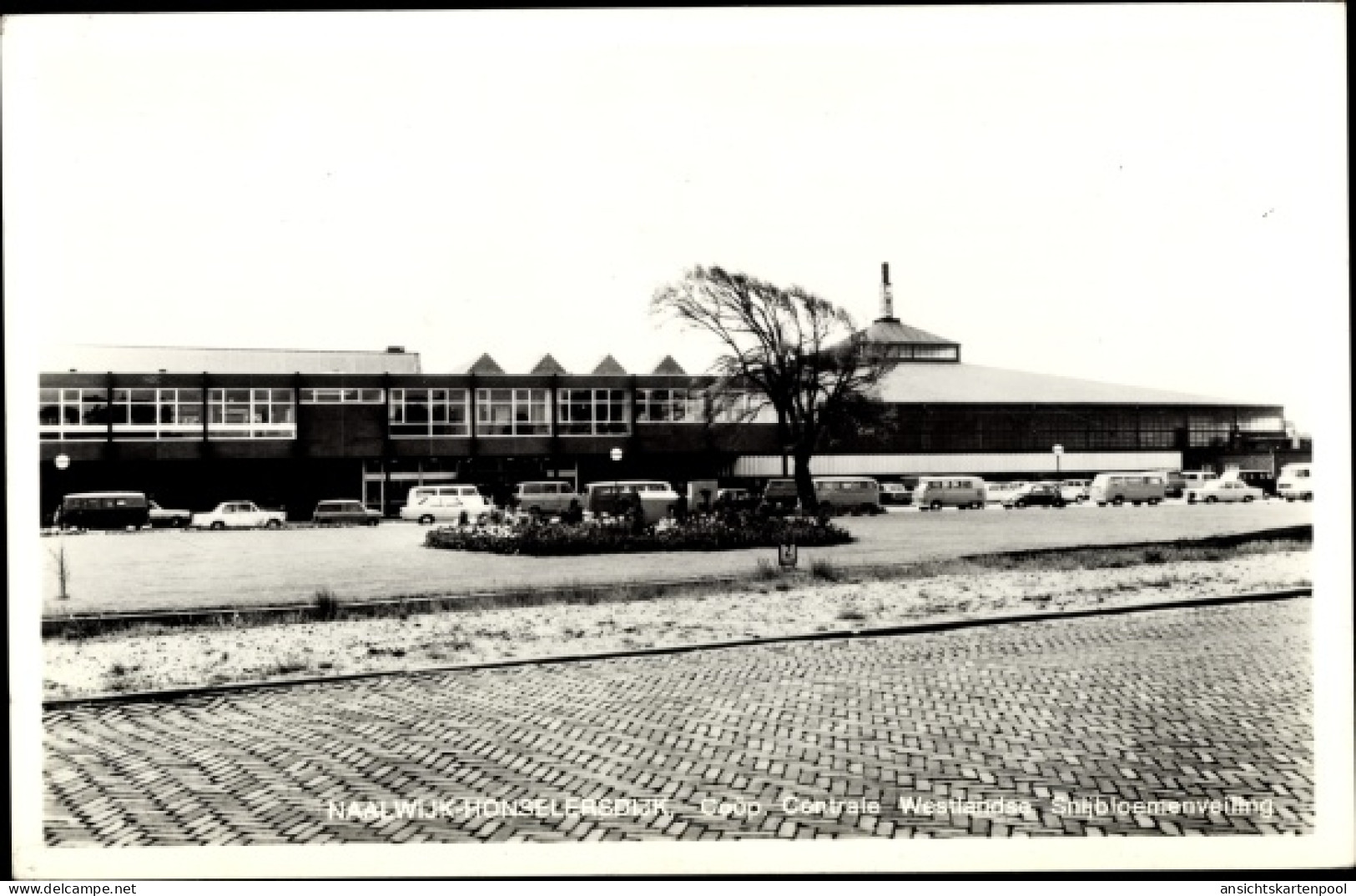 CPA Naaldwijk Südholland, Fabriek