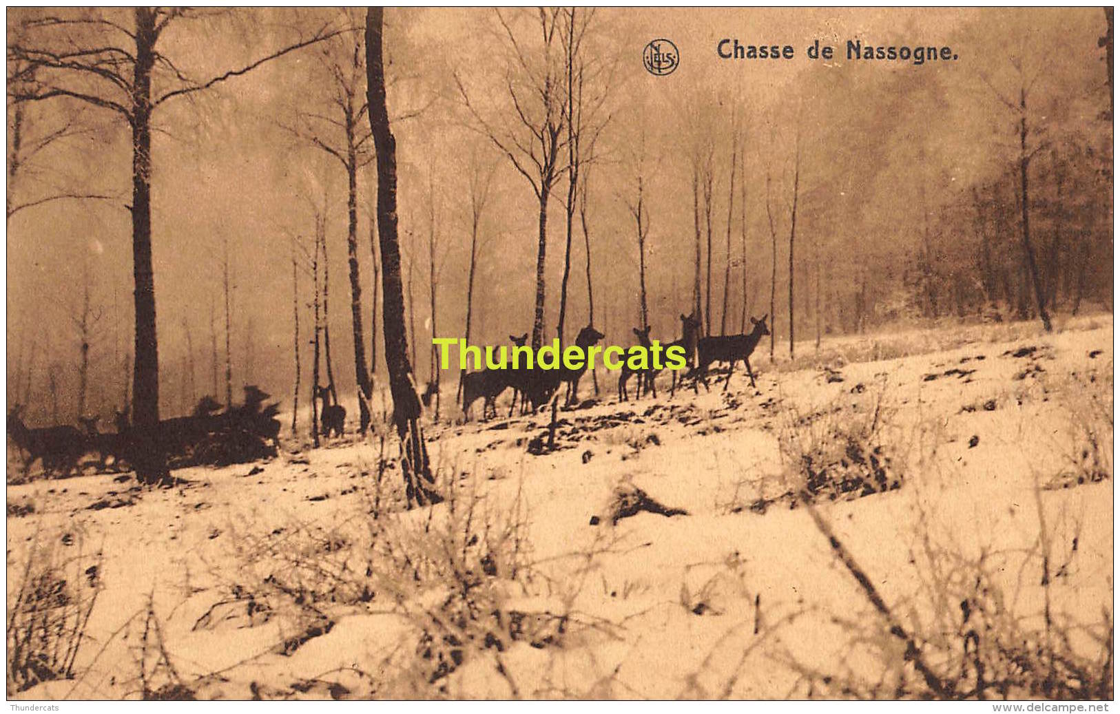 CPA  NASSOGNE CHASSE DE