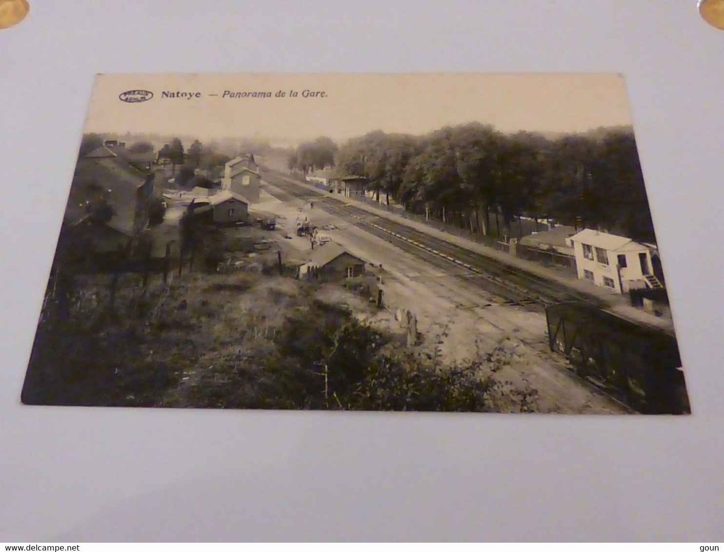 Cpa Natoye Hamois Panorama de la gare