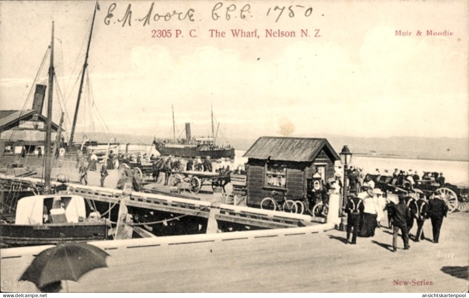 CPA Nelson Neuseeland, Hafenansicht, Schiffe, Menschen, nmotiv, Neuseeland