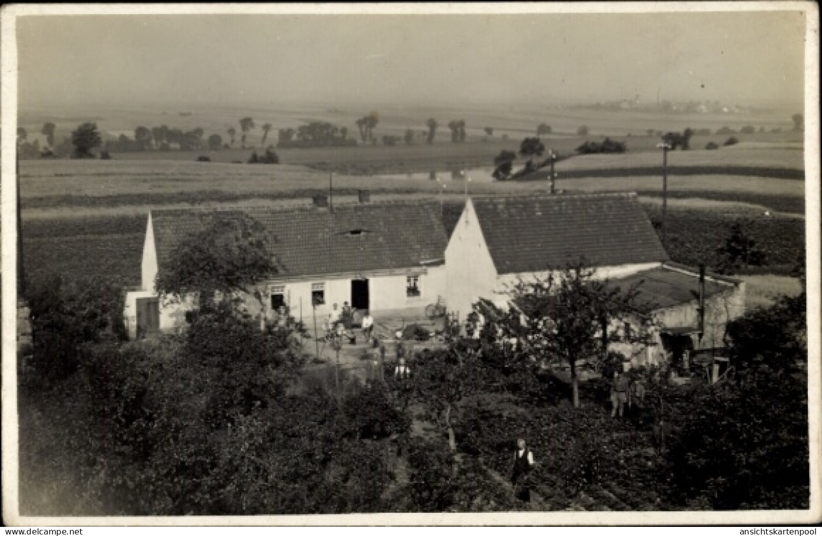 CPA Neschwitz in Sachsen, Hausansicht, landwirtschaftliche Umgebung, Bäume, Felder