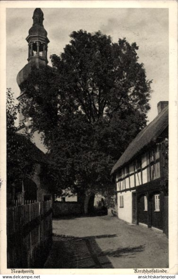 CPA Neschwitz in Sachsen, Kirchhofslinde