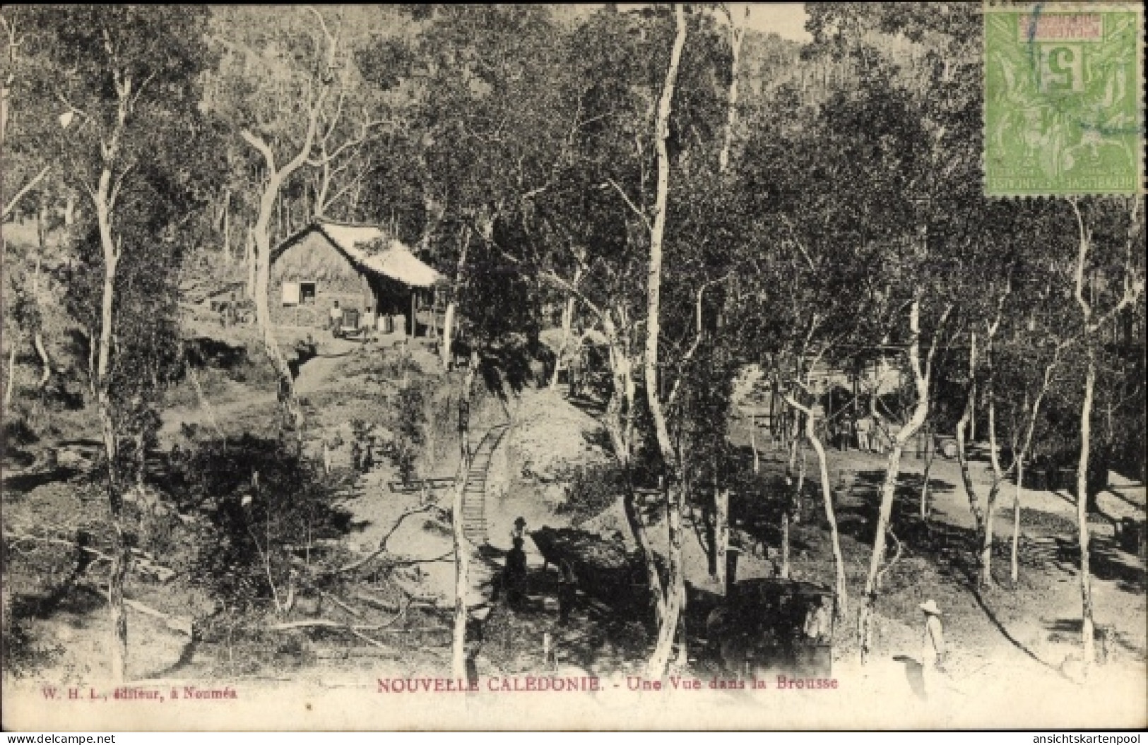CPA Neukaledonien, Une vue dans la brousse