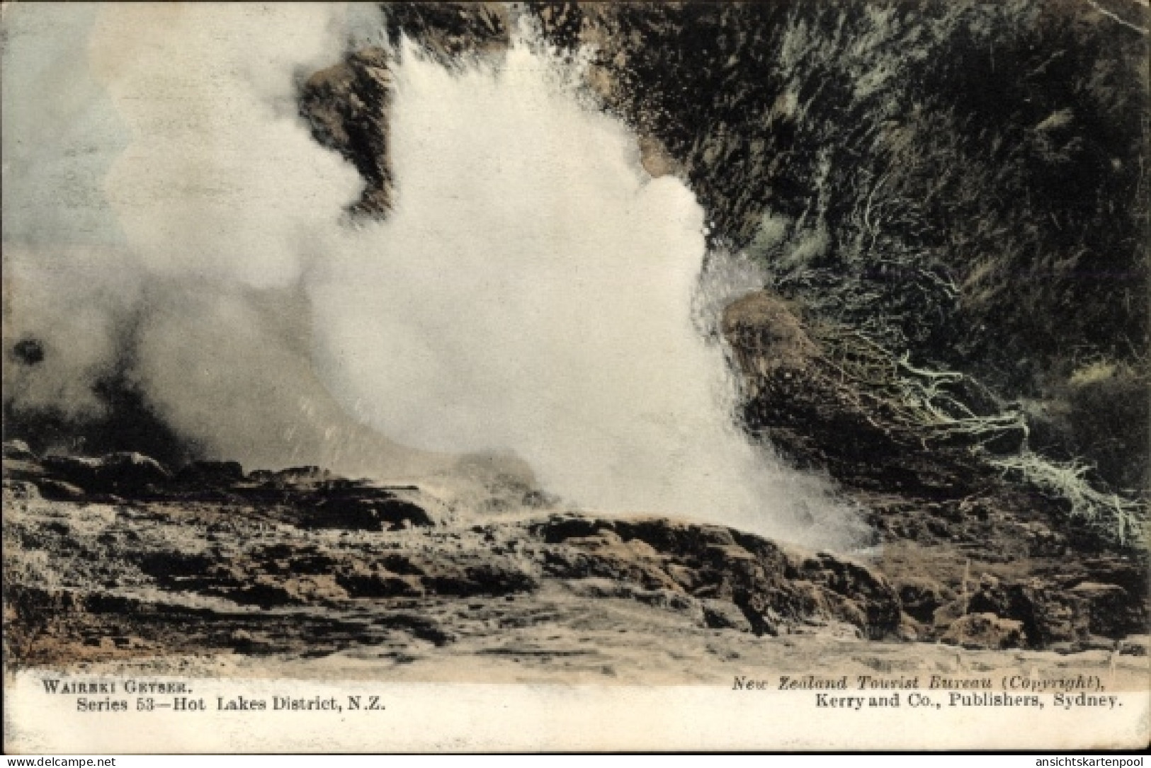 CPA Neuseeland, W. Geyser