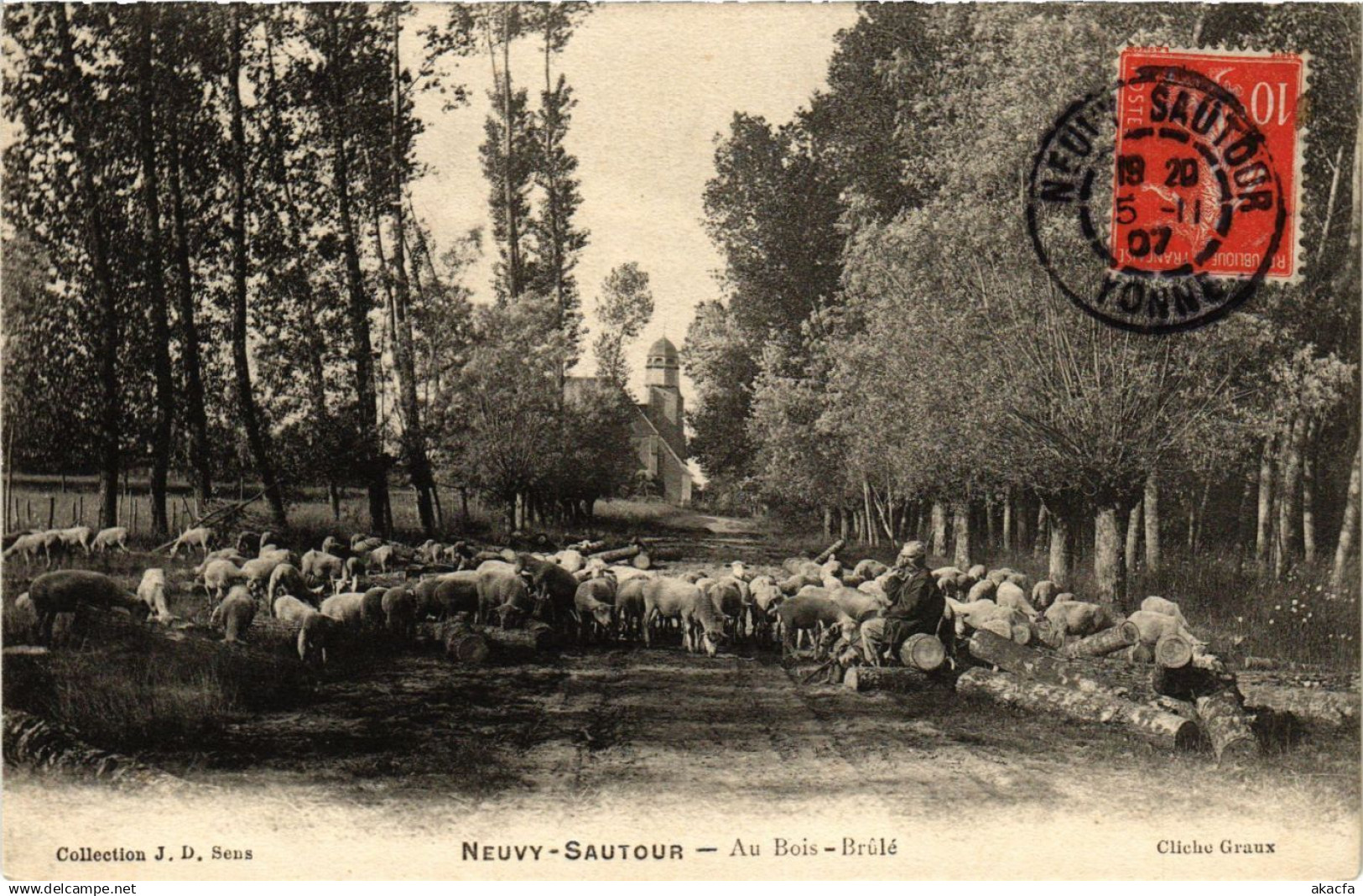 CPA NEUVY-SAUTOUR - Au Bois - Brule (358417)