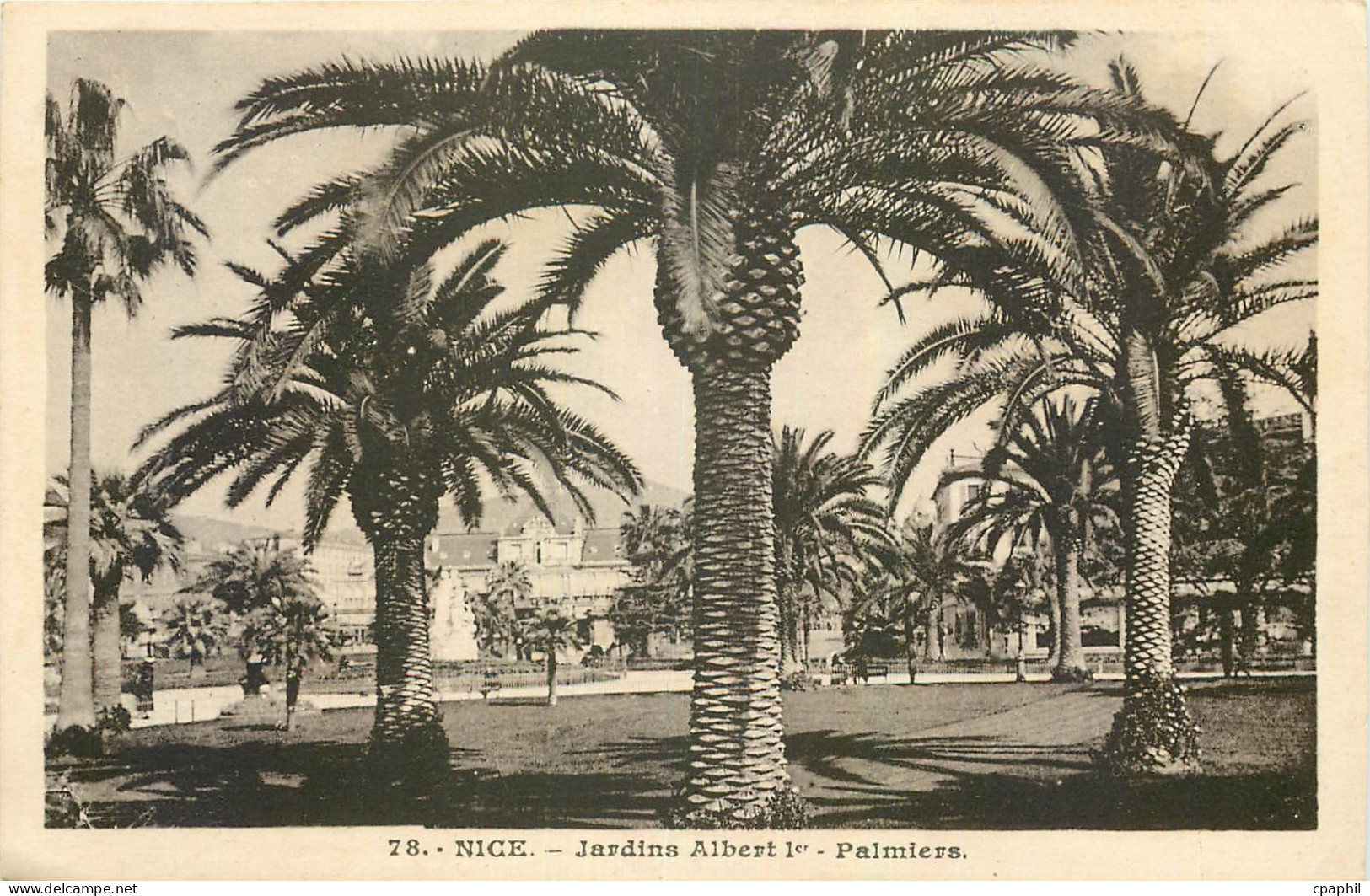CPA Nice Jardins Albert I Palmiers
