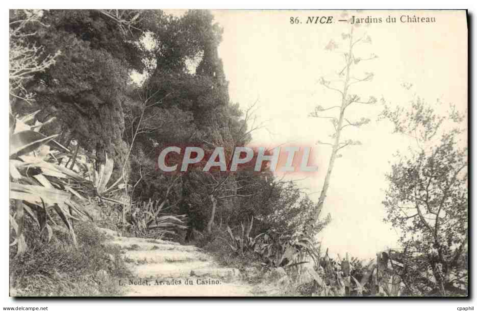 CPA Nice Jardins du Chateau