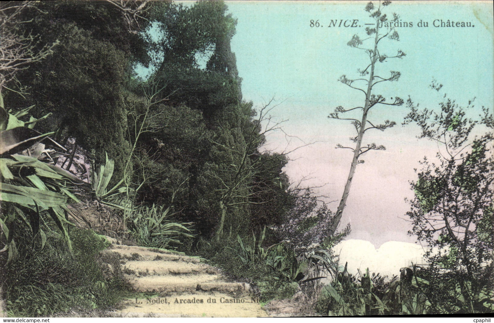 CPA Nice Jardins Du Chateau