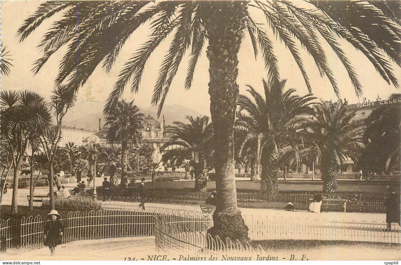 CPA Nice Palmiers des Nouveaux Jardins