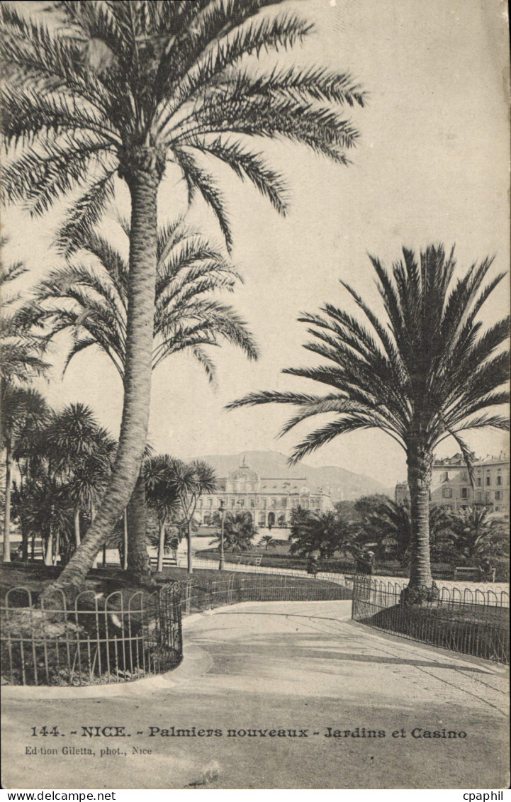 CPA Nice Palmiers nouveaux Jardins et Cassino