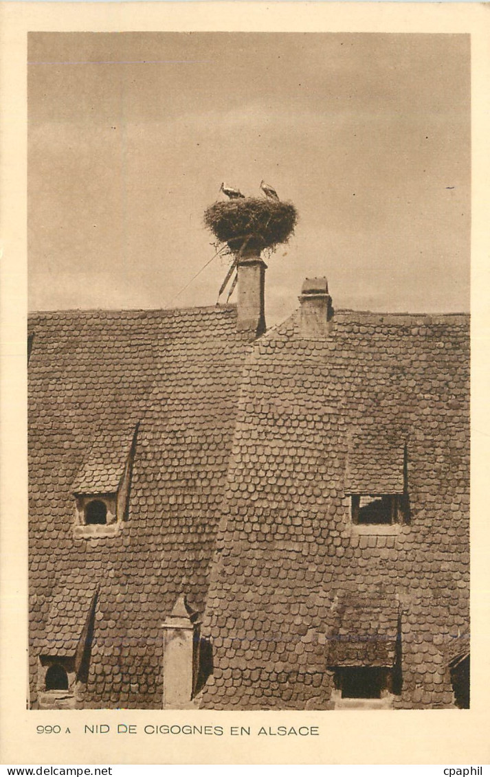 CPA Nid de Cigognes en Alsace