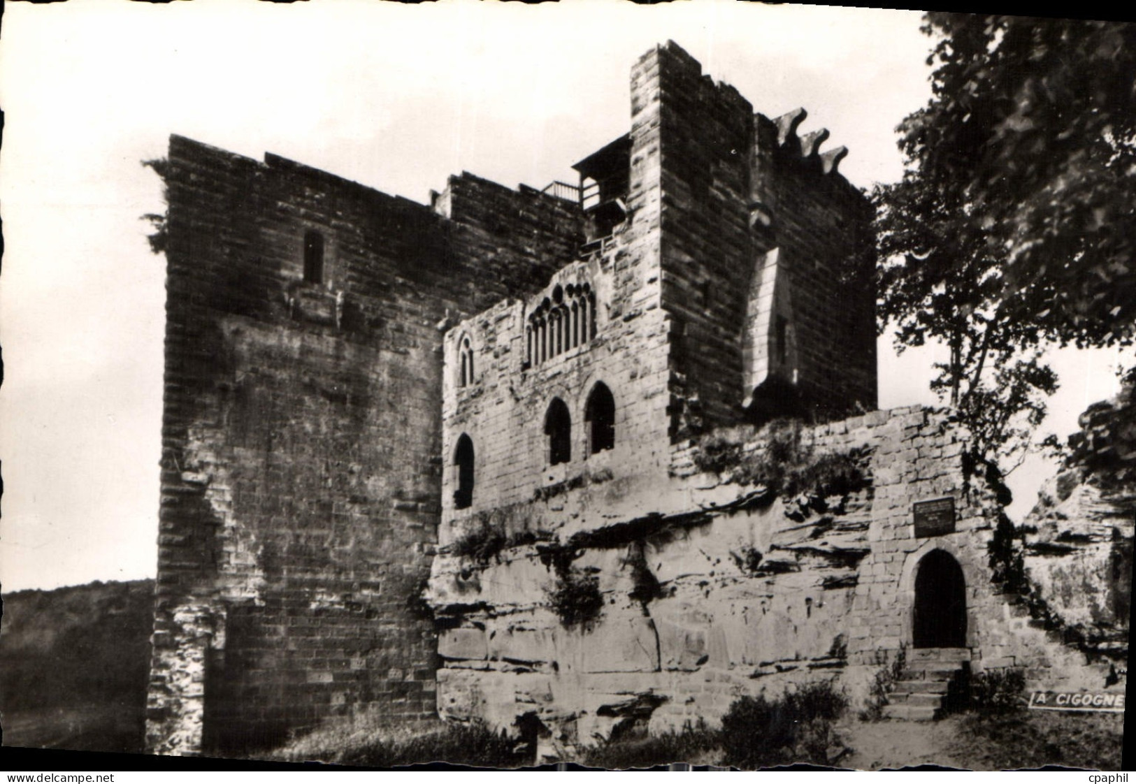 CPA Niederbronn Les Bains Bos Rhin