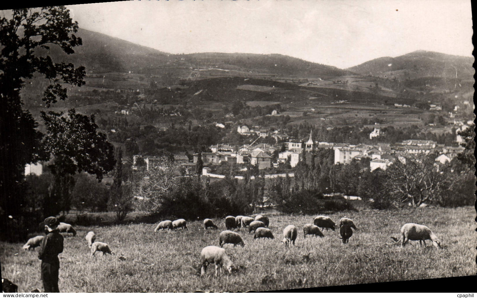 CPA Noiretable Loire Vue Panoramique