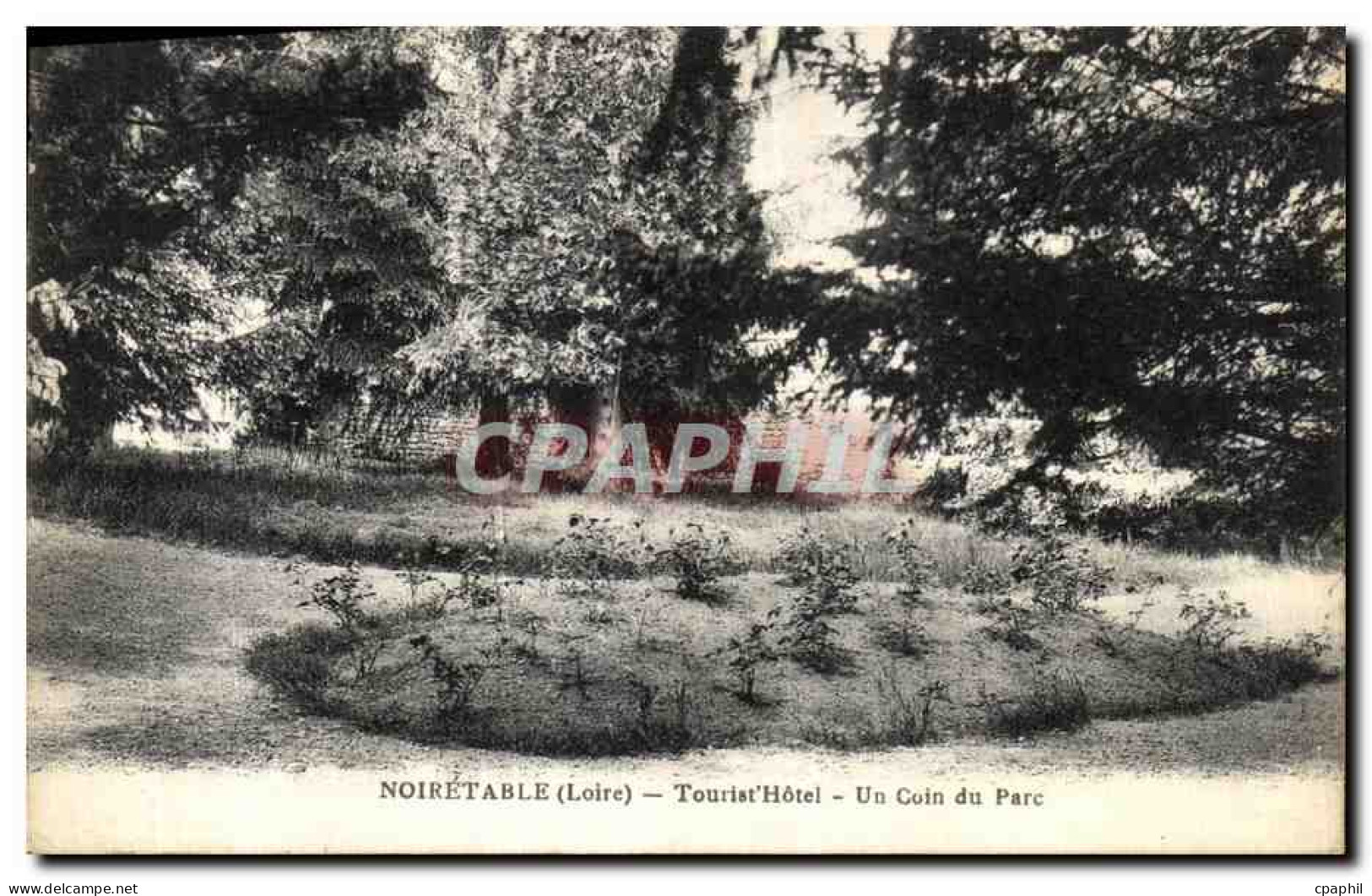 CPA Noiretable Tourist Hotel Un Coin du Parc