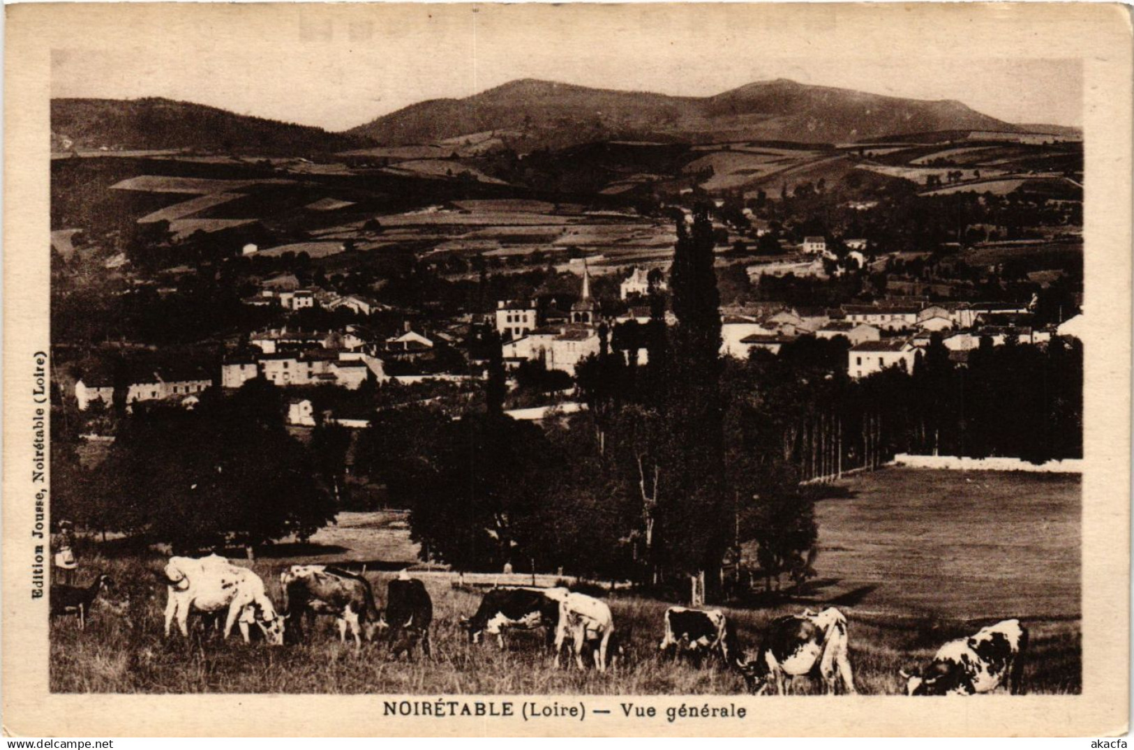 CPA NOIRETABLE - Vue générale (578477)