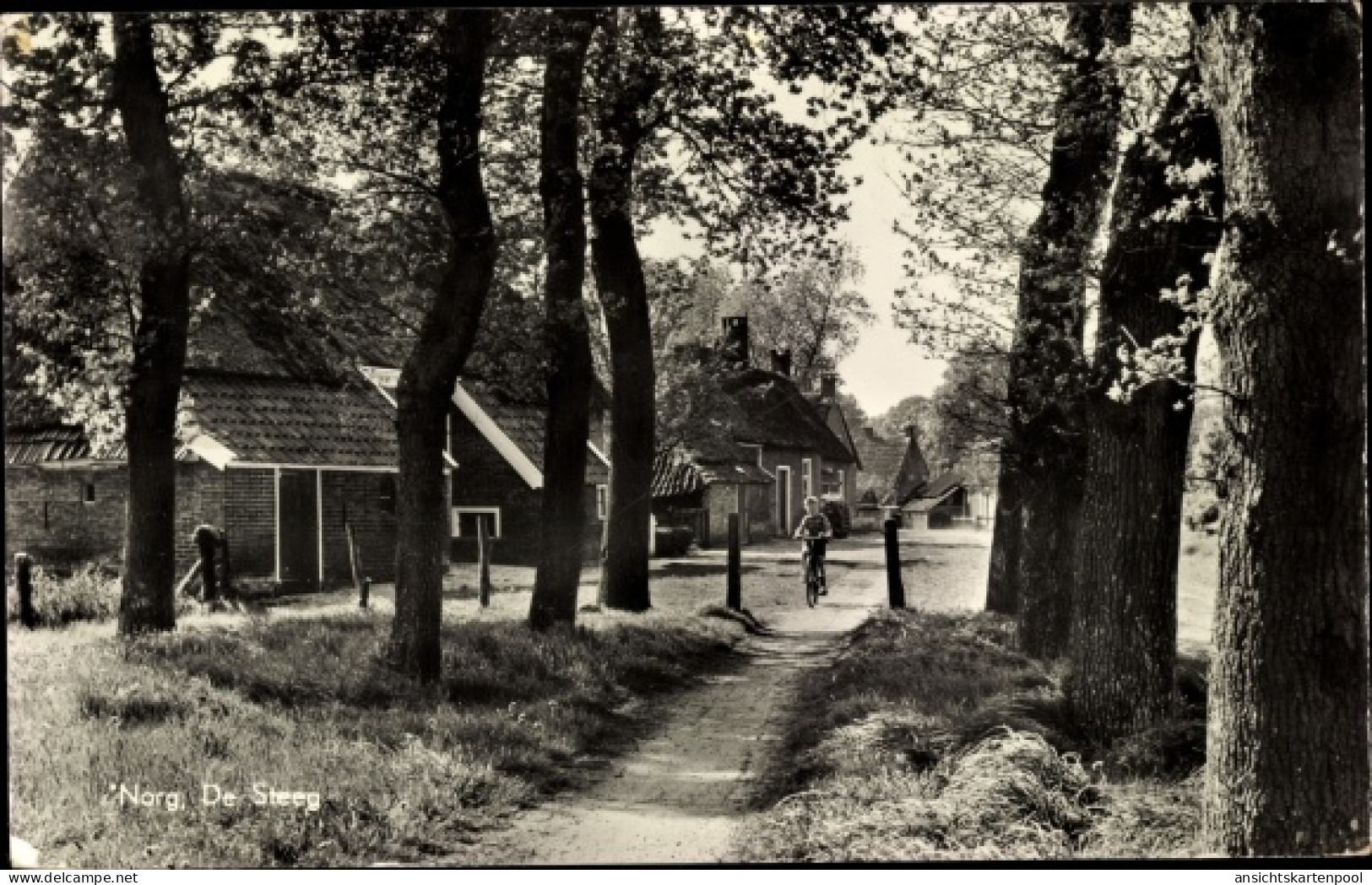 CPA Norg Drenthe, De Steeg