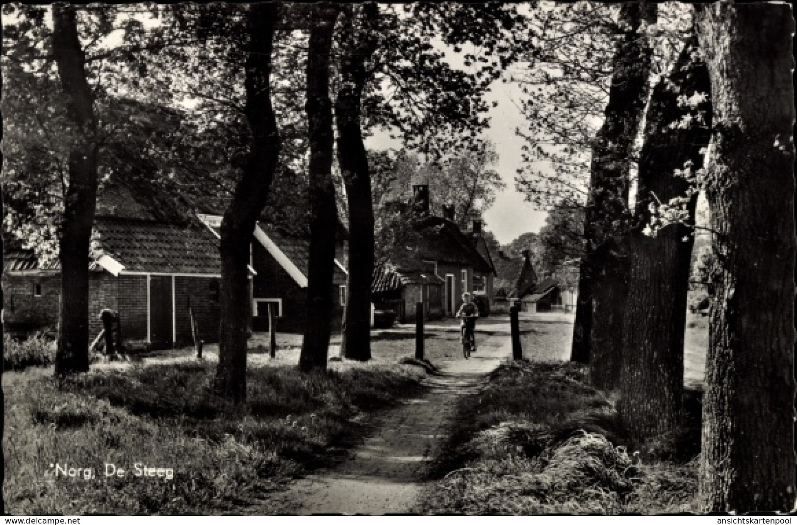 CPA Norg Drenthe, De Steeg