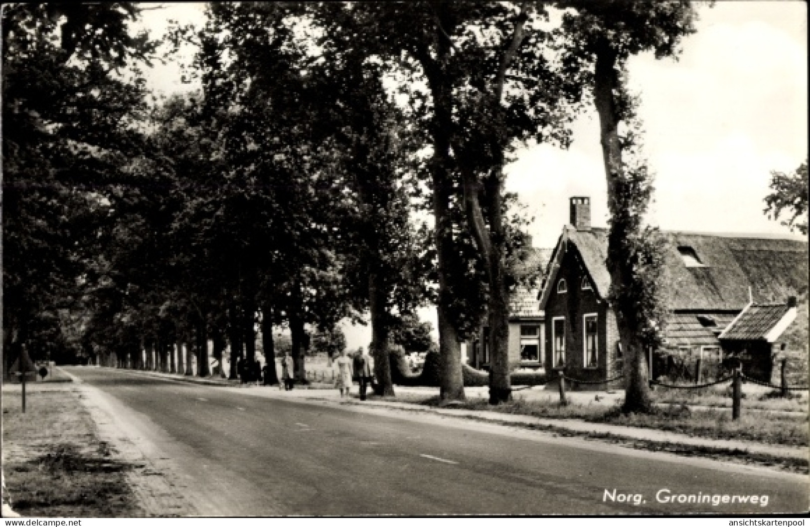 CPA Norg Drenthe, Groningerweg