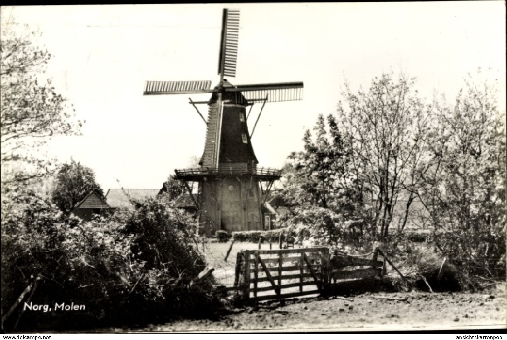 CPA Norg Drenthe, Molen