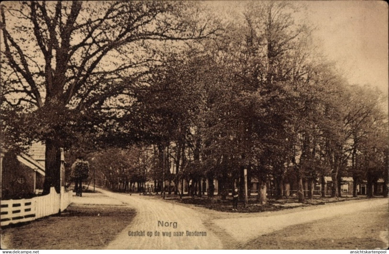 CPA Norg Drenthe Niederlande, Gezicht op de weg naar Denderen
