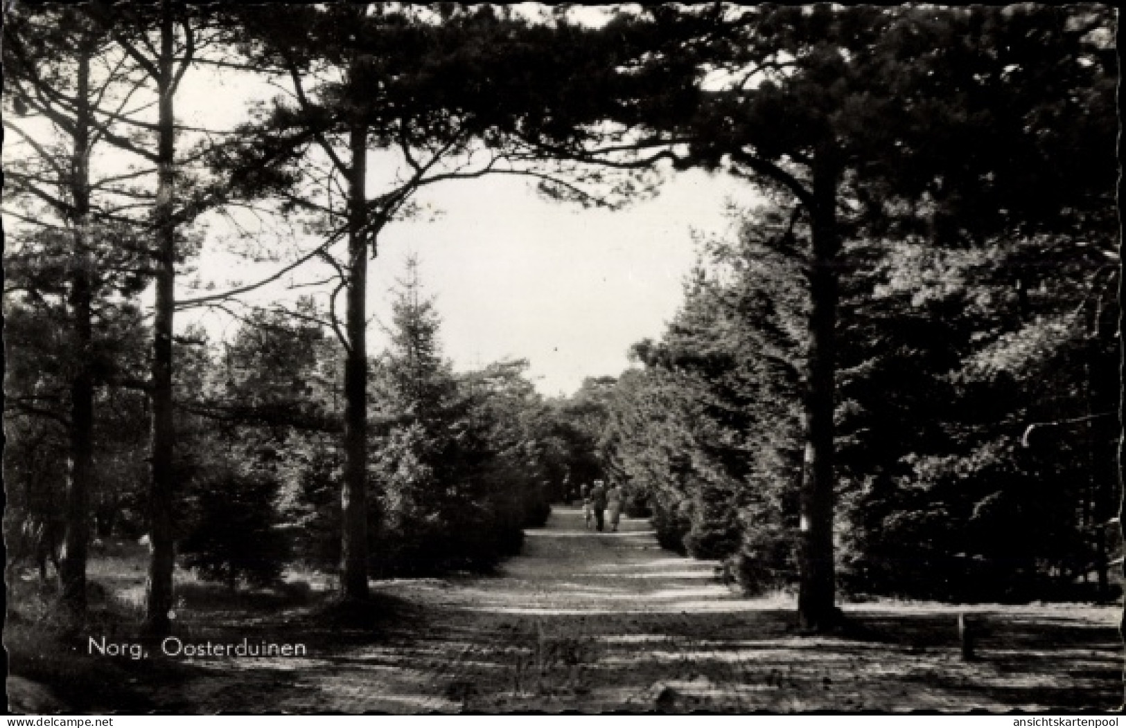 CPA Norg Drenthe, Oosterduinen