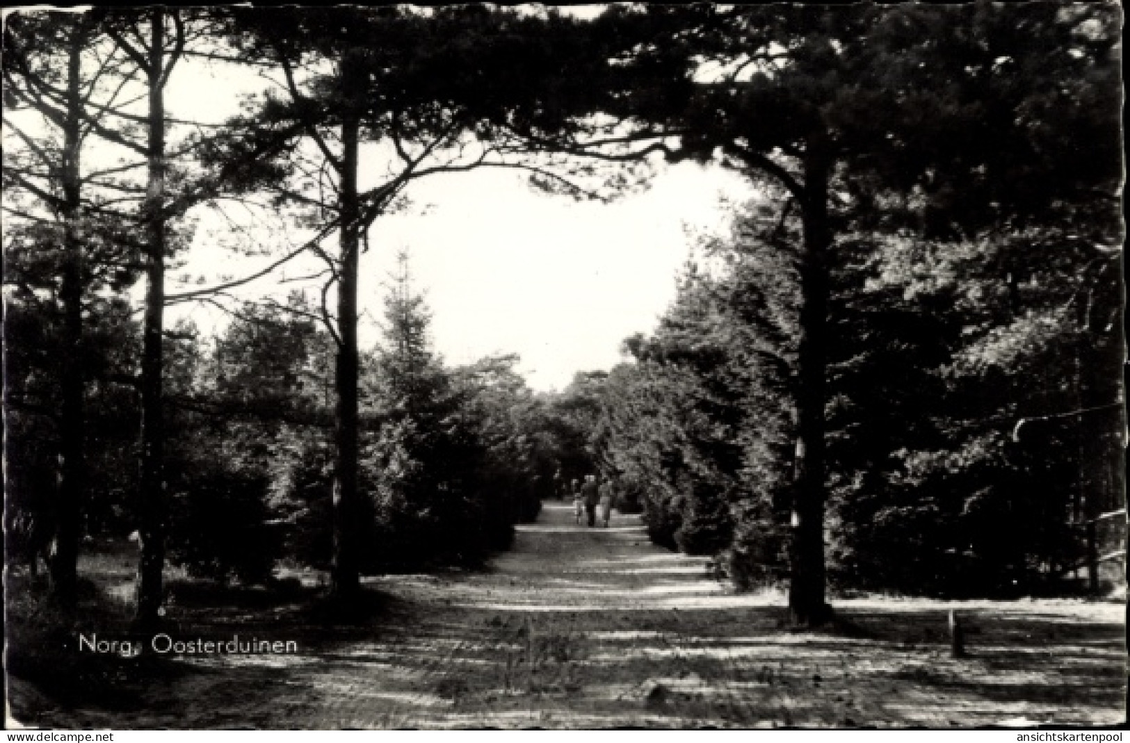 CPA Norg Drenthe, Oosterduinen