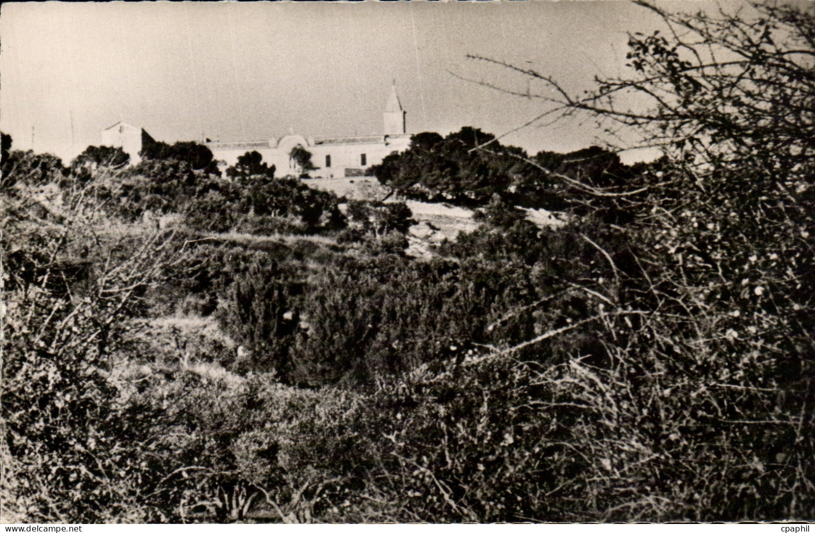 CPA Notre Dame Rochefort Du Gard Vue Panoramique