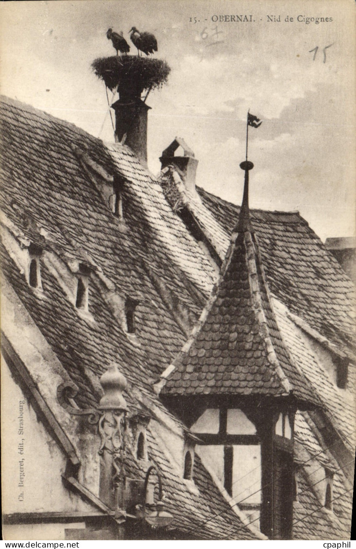 CPA Obernai nid de Cigognes